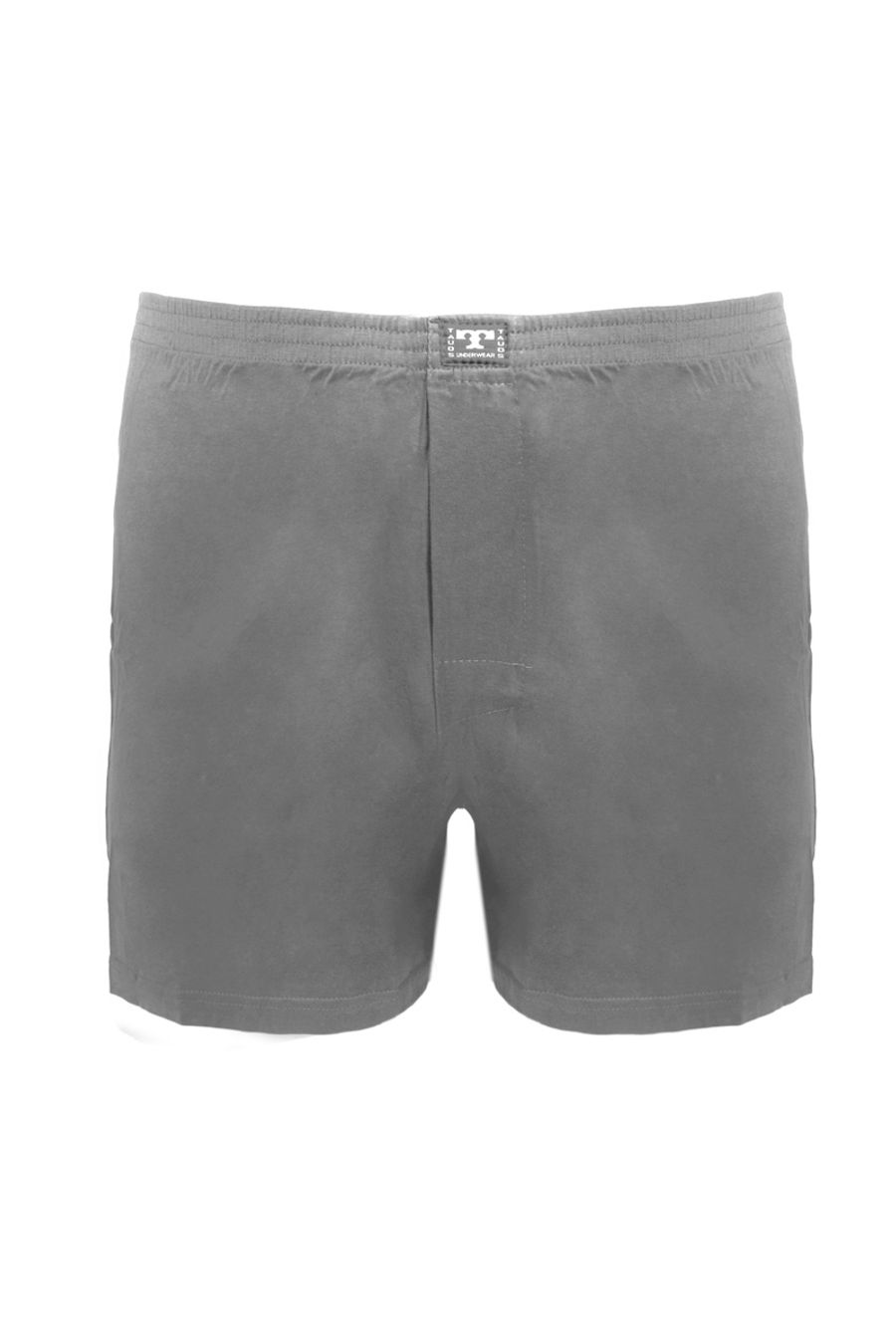 Cueca samba canção plus size cinza