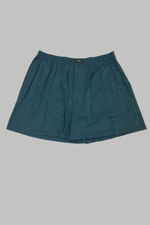 Cueca samba canção plus size verde
