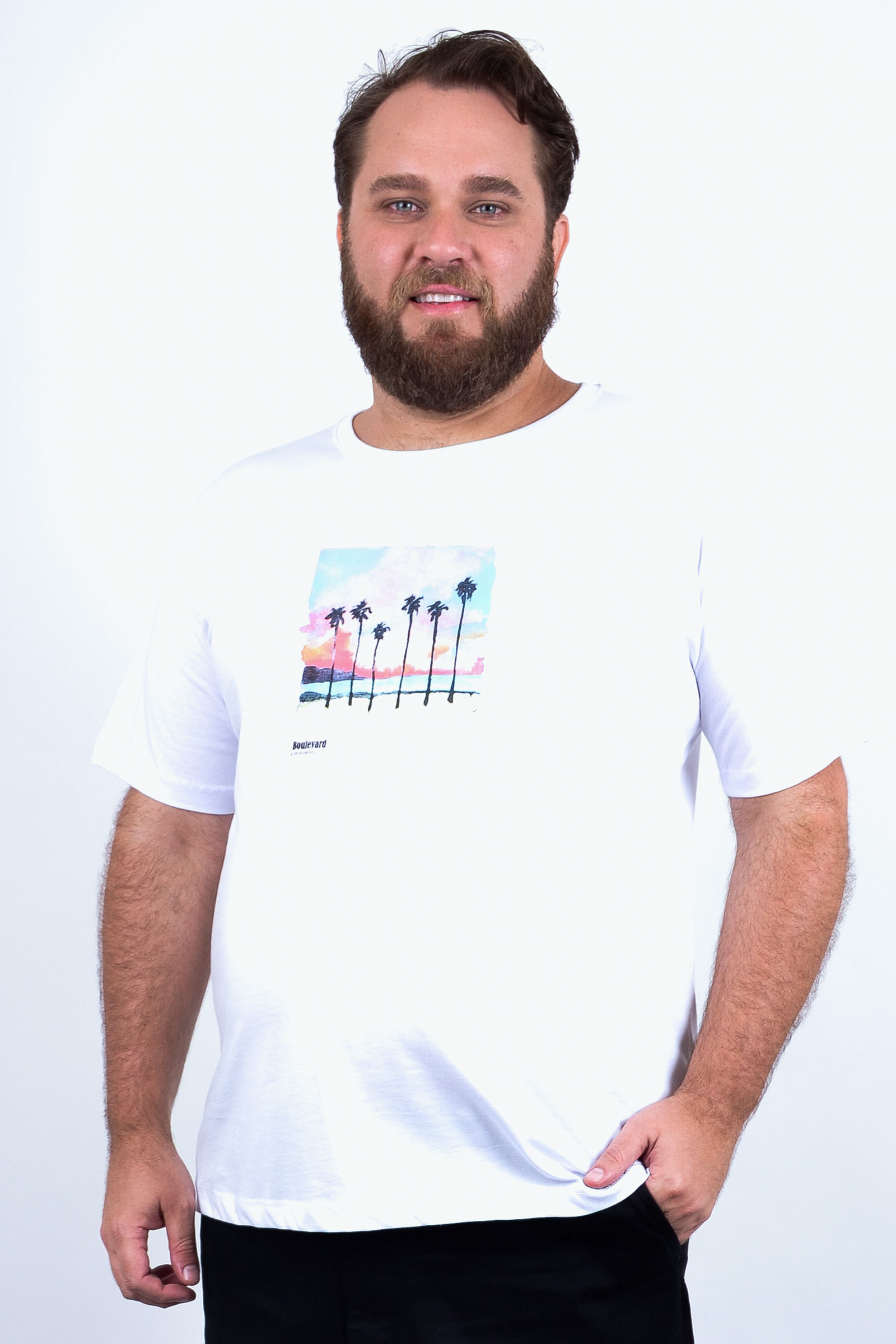 Camiseta-masculina-meia-malha-com-estampa-coqueiros_0009_1.jpg